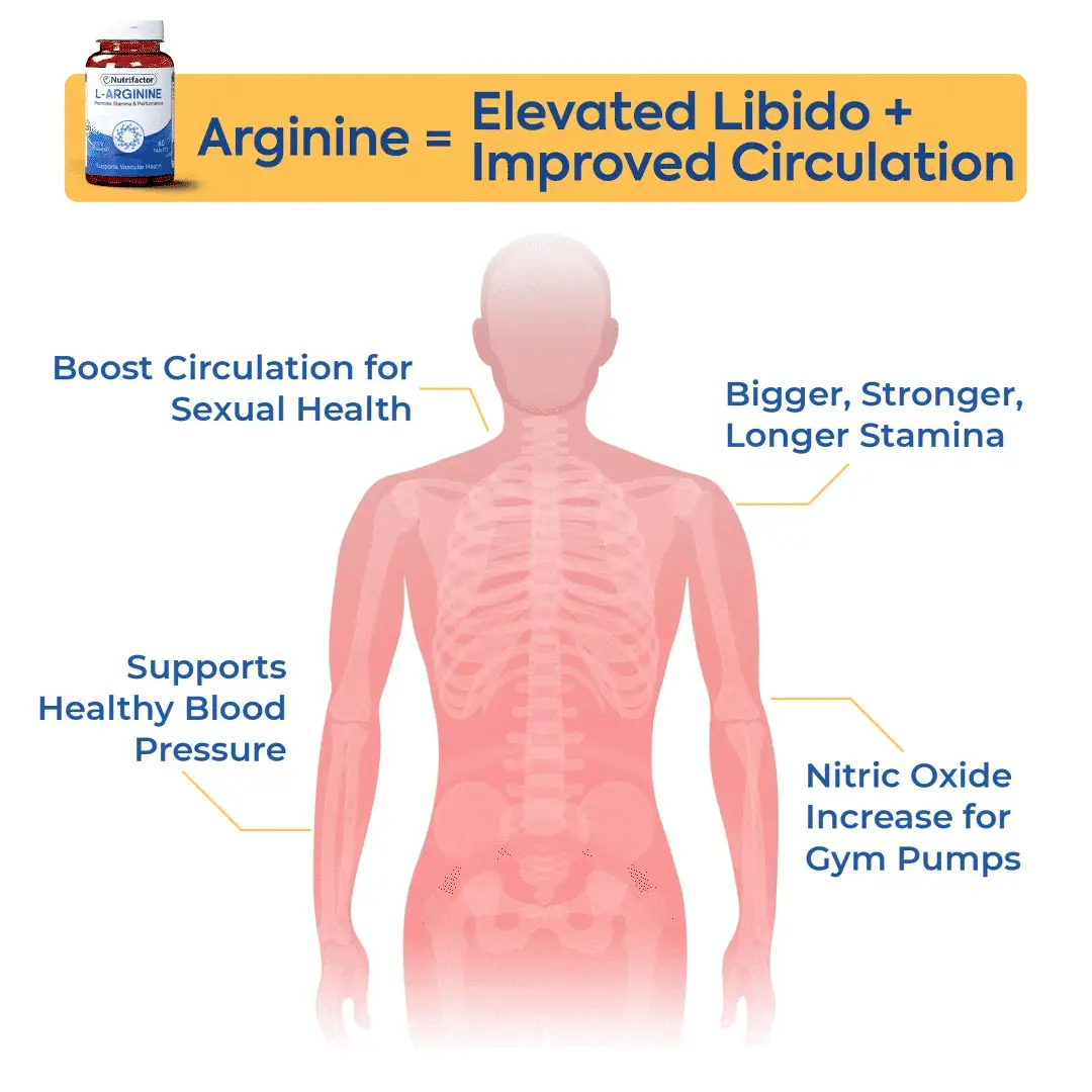 L-Arginine - Nitric Oxide Booster - Image 2